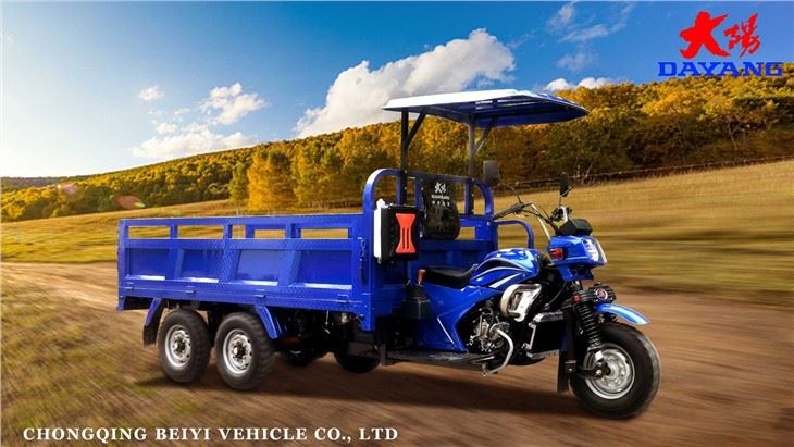 9 wheels double rear axle tricycle (10)