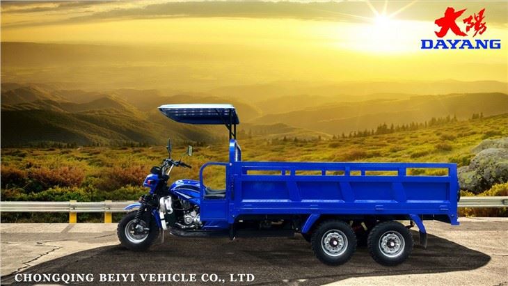 9 wheels double rear axle tricycle (12)