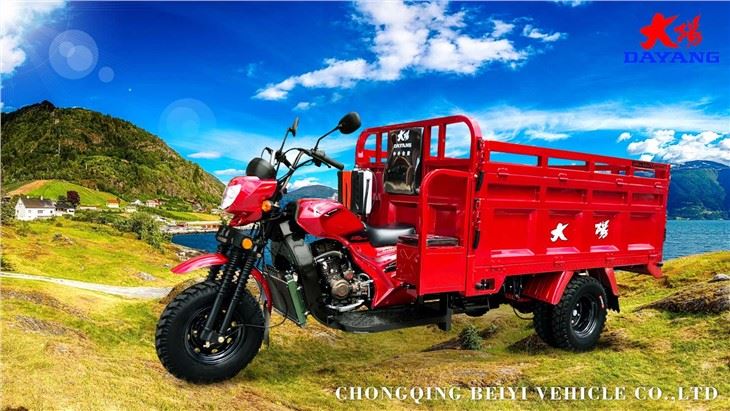 Adult Motorized 200CC Cargo Tricycle 2021