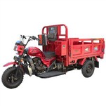 Sepeda Roda Tiga Kargo 200cc