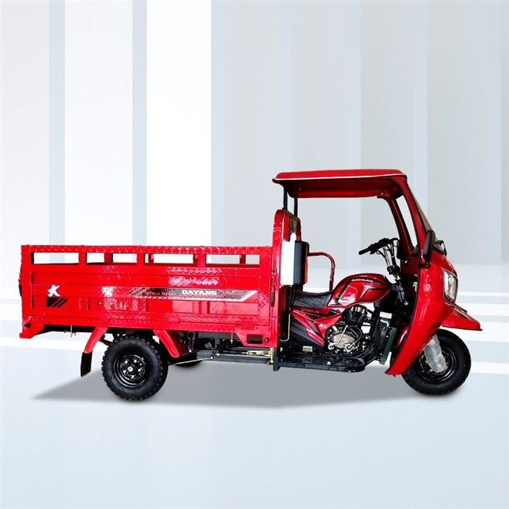 300cc Carga Motor Trike