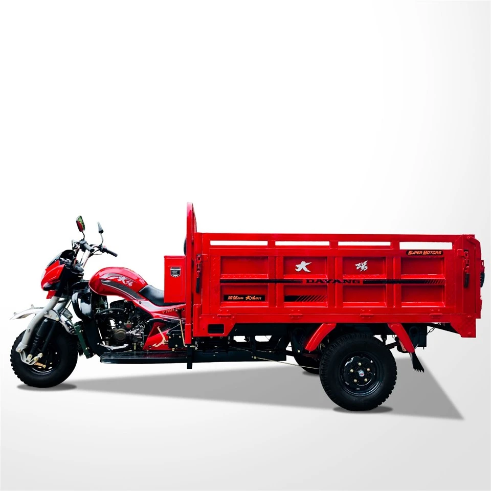 Heavy-Duty Hauling Tricycle