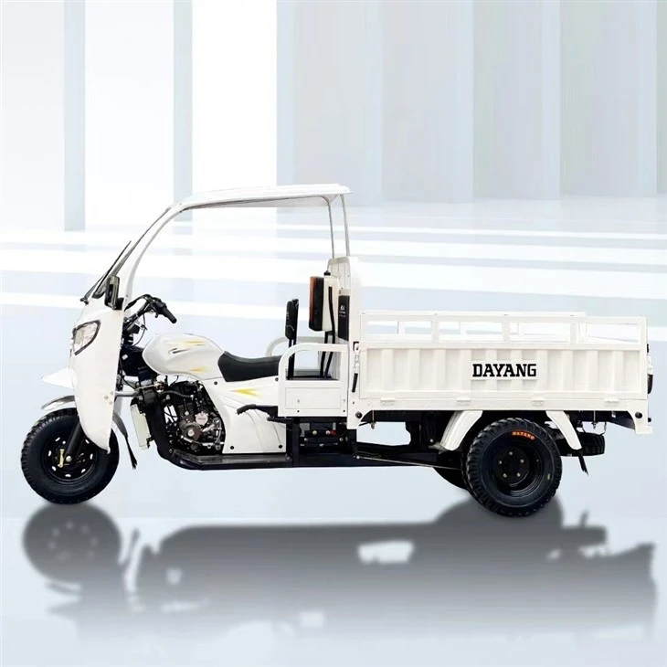 Hot-Selling Good Quality Electric Tricycle Three Wheeler