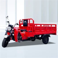 Sepeda Motor Roda Tiga Penumpang Bermotor 150cc