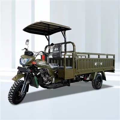 Skuter Roda Tiga Kargo Bermotor Bensin Dewasa