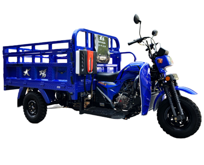 Mesin Bertenaga Tinggi 200CC Cargo Tricycle Carbin Farmer Tricycle Dengan Harga Murah